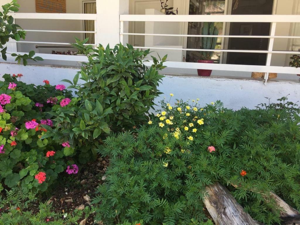 Apartment Ostria